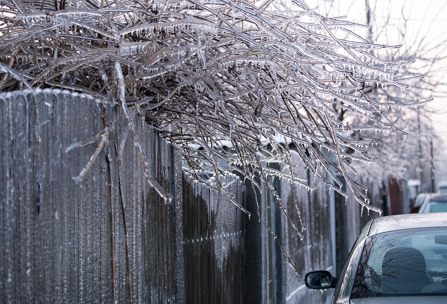 I Photographed Freezing Rain, Alternately Beautiful And Scary