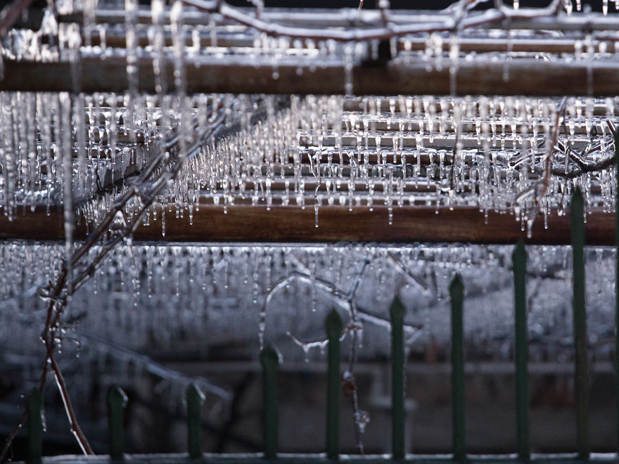 I Photographed Freezing Rain, Alternately Beautiful And Scary