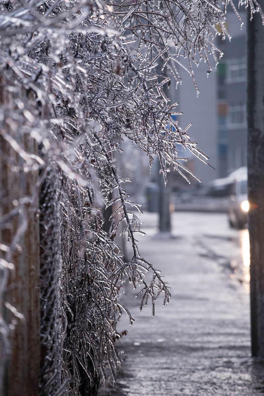 I Photographed Freezing Rain, Alternately Beautiful And Scary