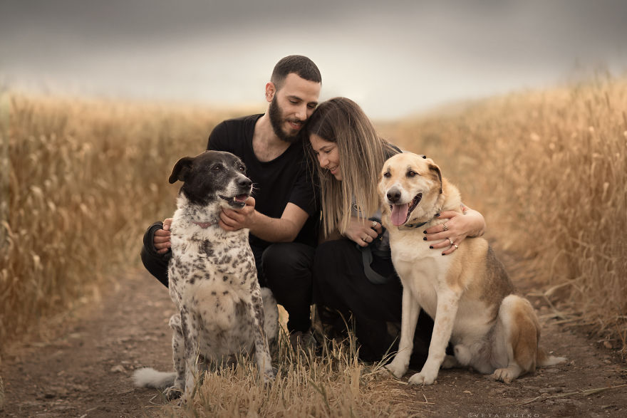 Hen And Ran, Diva And Riko - The Dogs That Spent 8 Years In The Shelter