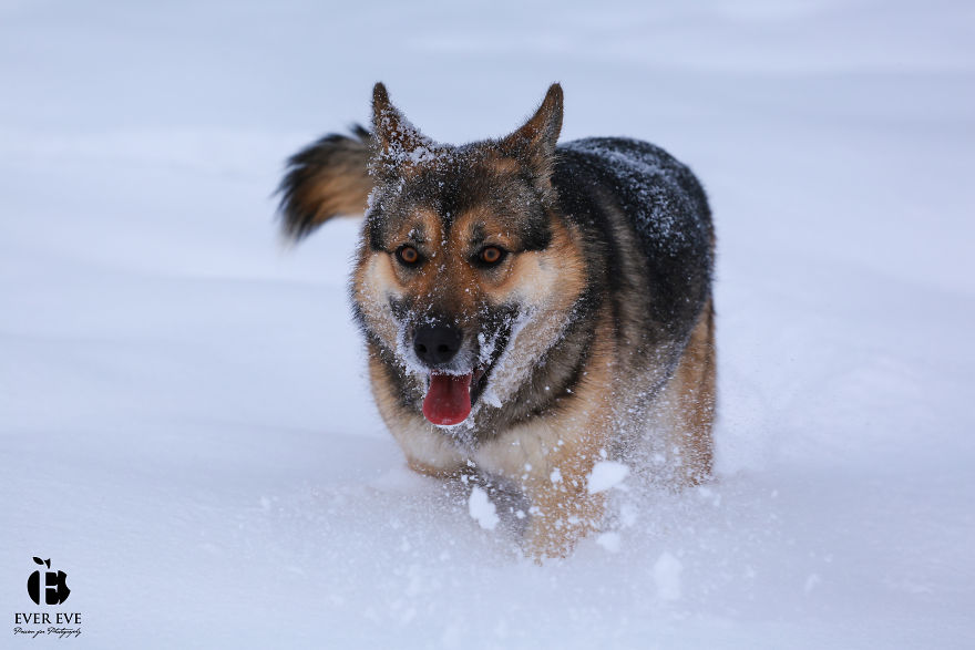 I Found Her In A Plastic Bag And Now She Is Making My Life Whole I Found Her In A Plastic Bag And Now She Is Making My Life Whole