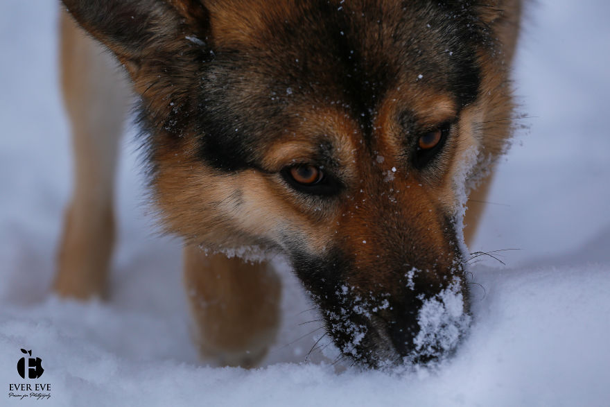 I Found Her In A Plastic Bag And Now She Is Making My Life Whole I Found Her In A Plastic Bag And Now She Is Making My Life Whole