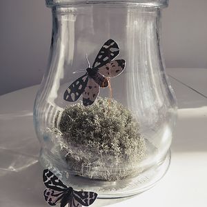 patrycja_proszynska avatar