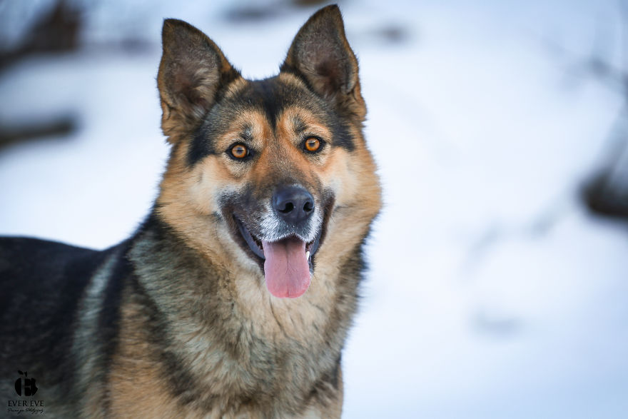 I Found Her In A Plastic Bag And Now She Is Making My Life Whole I Found Her In A Plastic Bag And Now She Is Making My Life Whole