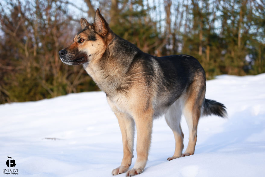 I Found Her In A Plastic Bag And Now She Is Making My Life Whole I Found Her In A Plastic Bag And Now She Is Making My Life Whole