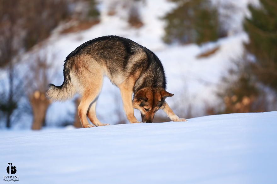 I Found Her In A Plastic Bag And Now She Is Making My Life Whole I Found Her In A Plastic Bag And Now She Is Making My Life Whole