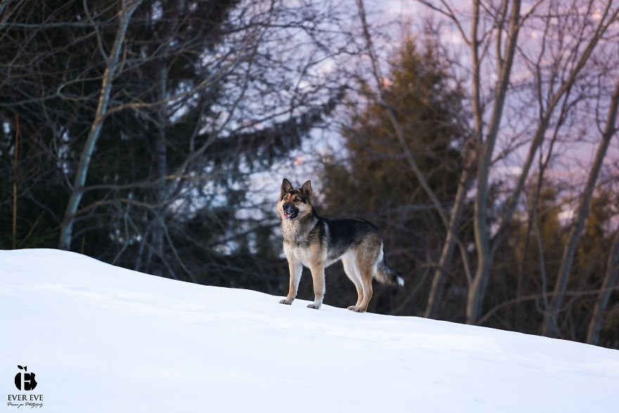 I Found Her In A Plastic Bag And Now She Is Making My Life Whole I Found Her In A Plastic Bag And Now She Is Making My Life Whole