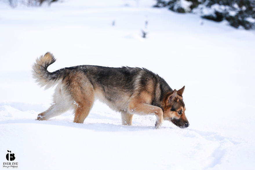 I Found Her In A Plastic Bag And Now She Is Making My Life Whole I Found Her In A Plastic Bag And Now She Is Making My Life Whole