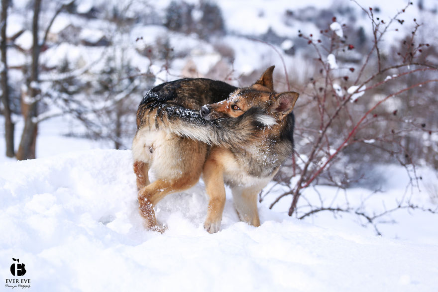 I Found Her In A Plastic Bag And Now She Is Making My Life Whole I Found Her In A Plastic Bag And Now She Is Making My Life Whole