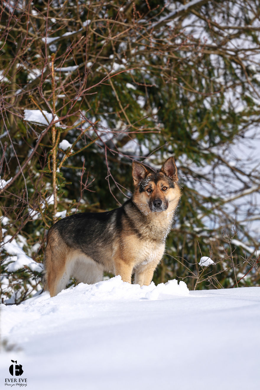 I Found Her In A Plastic Bag And Now She Is Making My Life Whole I Found Her In A Plastic Bag And Now She Is Making My Life Whole
