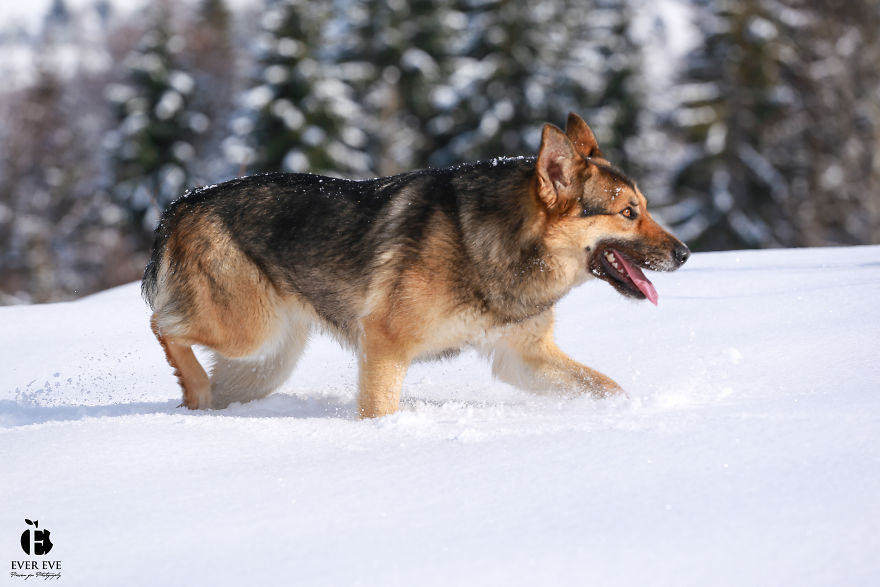 I Found Her In A Plastic Bag And Now She Is Making My Life Whole I Found Her In A Plastic Bag And Now She Is Making My Life Whole