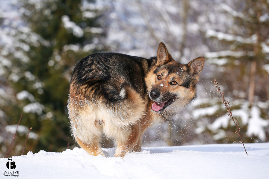 I Found Her In A Plastic Bag And Now She Is Making My Life Whole I Found Her In A Plastic Bag And Now She Is Making My Life Whole