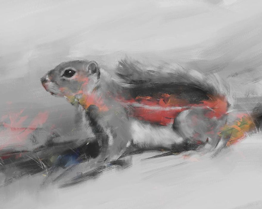 Nelson's Antelope Squirrel