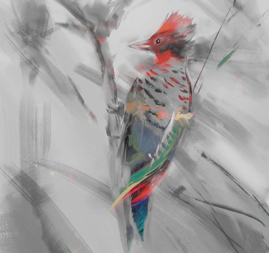 The Kaempfer's Woodpecker