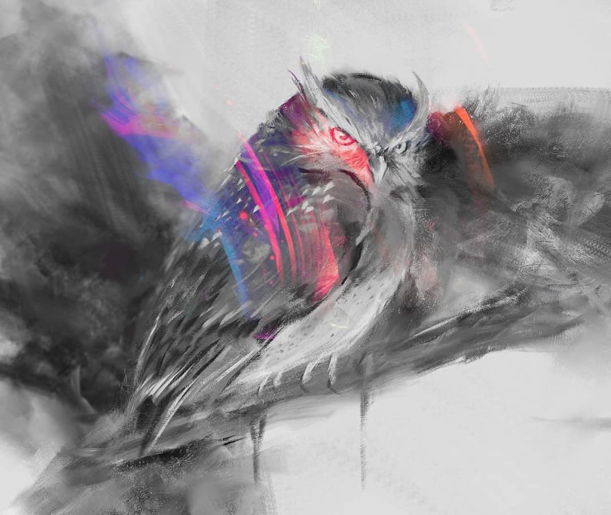 Long-Whiskered Owlet