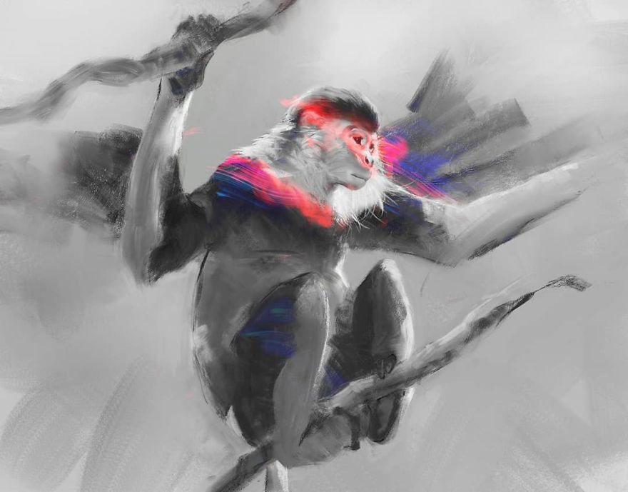 The Red-Shanked Douc Suffers