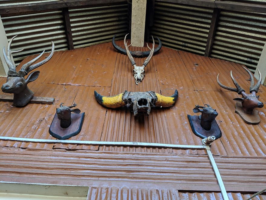 Inside Khonoma: The First Green Village Of India Inside Khonoma: The First Green Village Of India