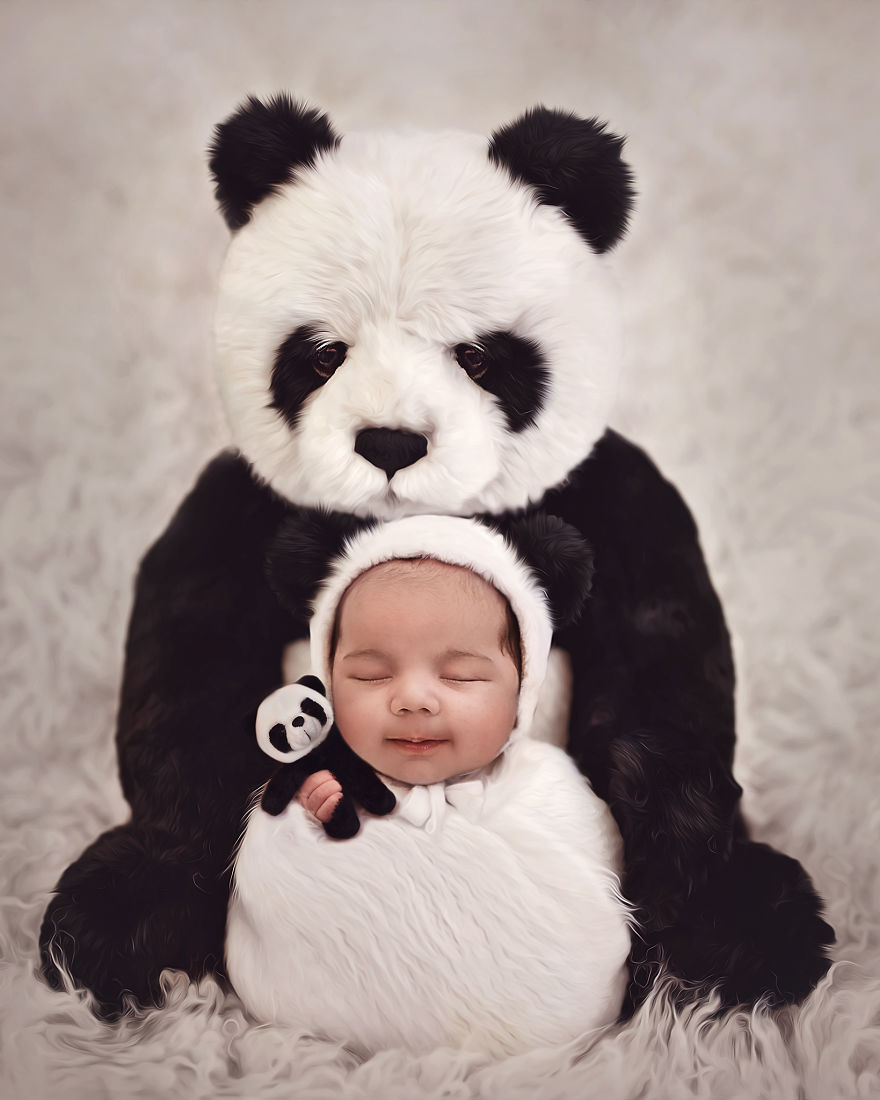 Newborns Baby Animal Series