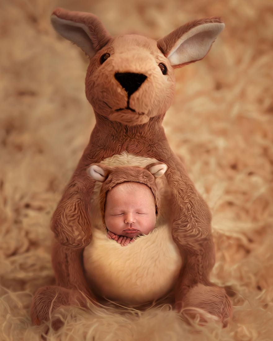 Newborns Baby Animal Series