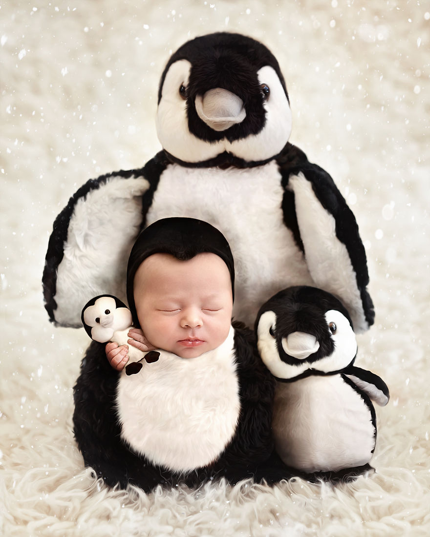 Newborns Baby Animal Series