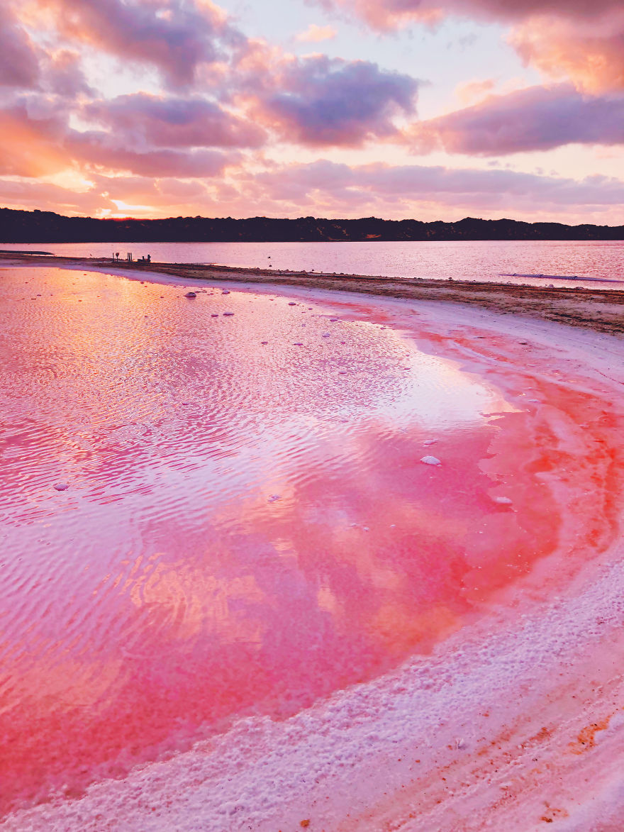 Magic Pink Lagoon In Western Australia