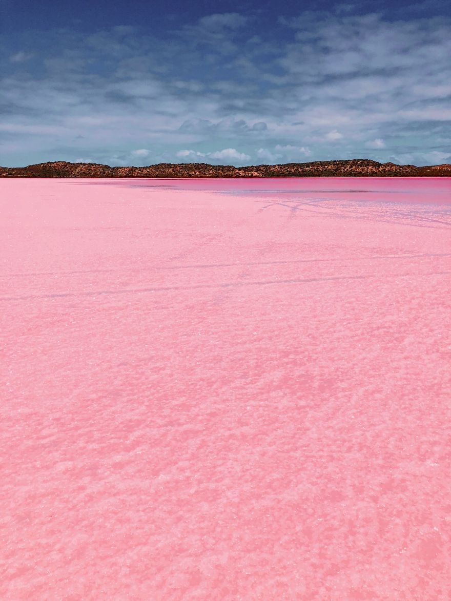 Magic Pink Lagoon In Western Australia