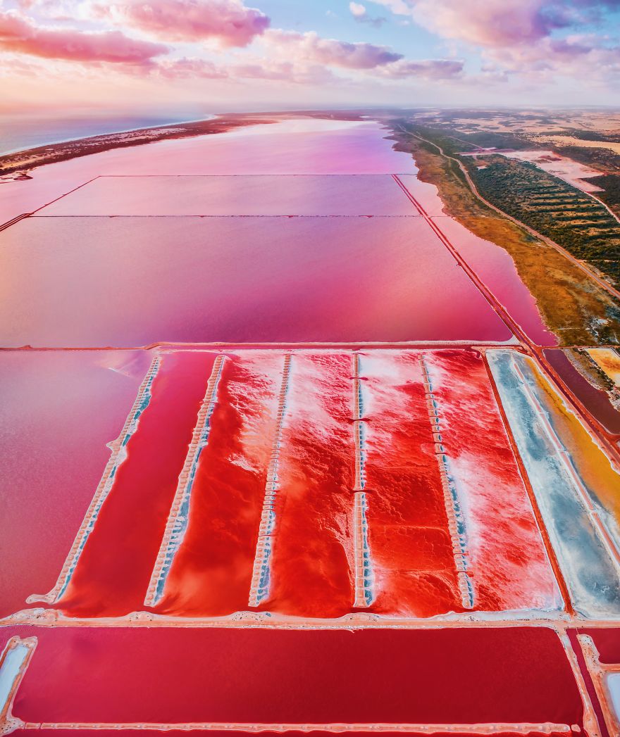 Magic Pink Lagoon In Western Australia