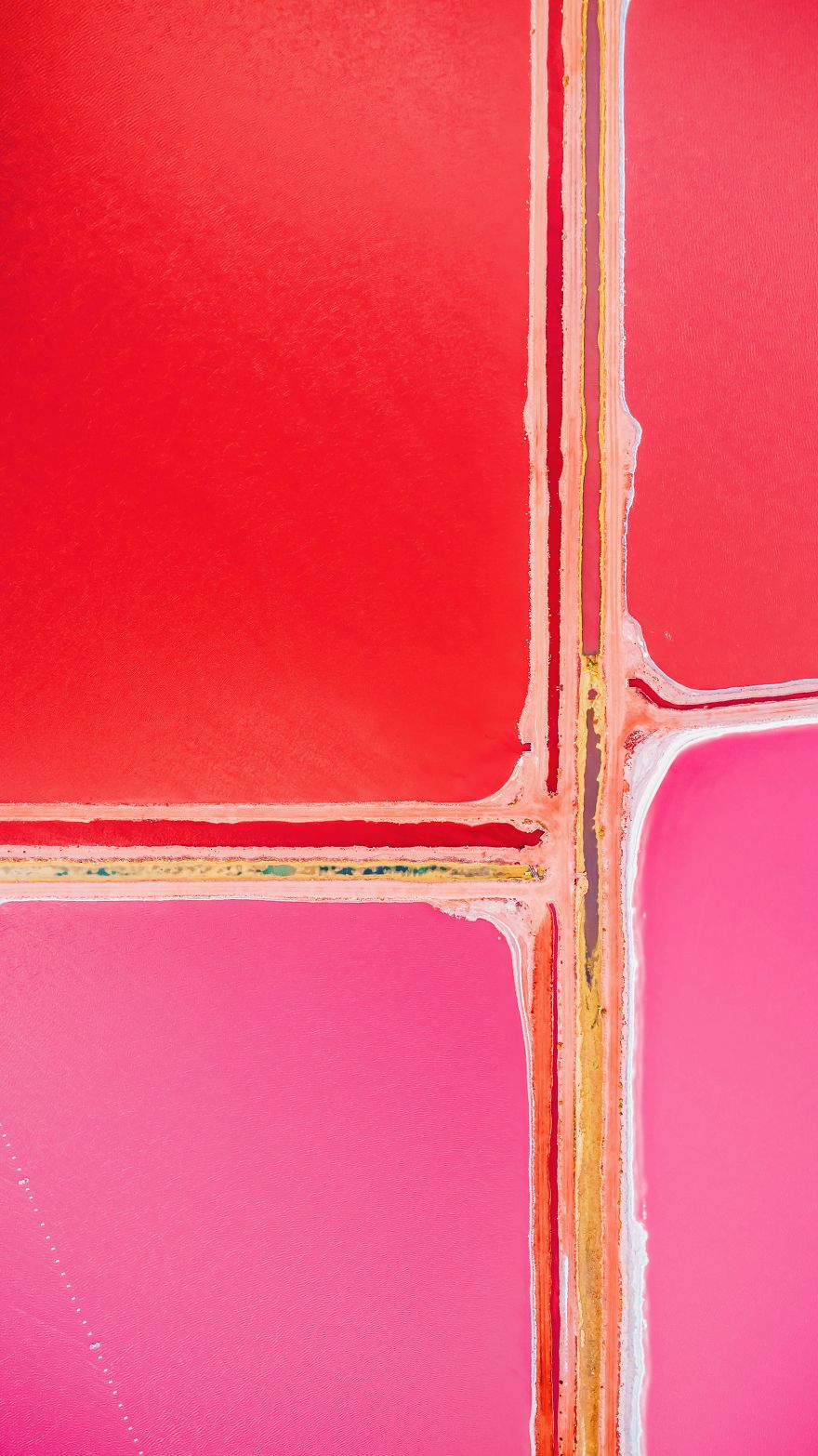 Magic Pink Lagoon In Western Australia