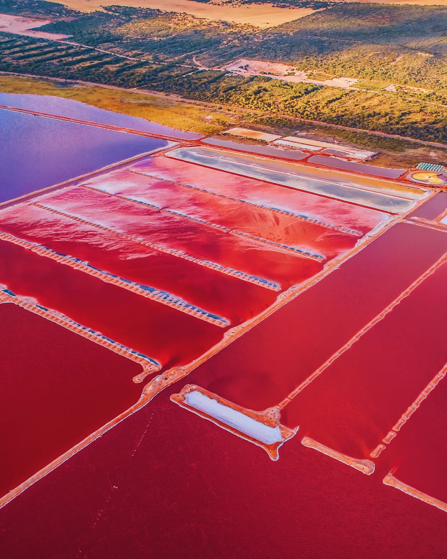 Magic Pink Lagoon In Western Australia