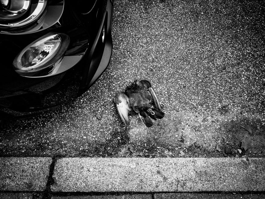 My Day In Hamburg. Interesting Spots In Altona. Lets Fly!