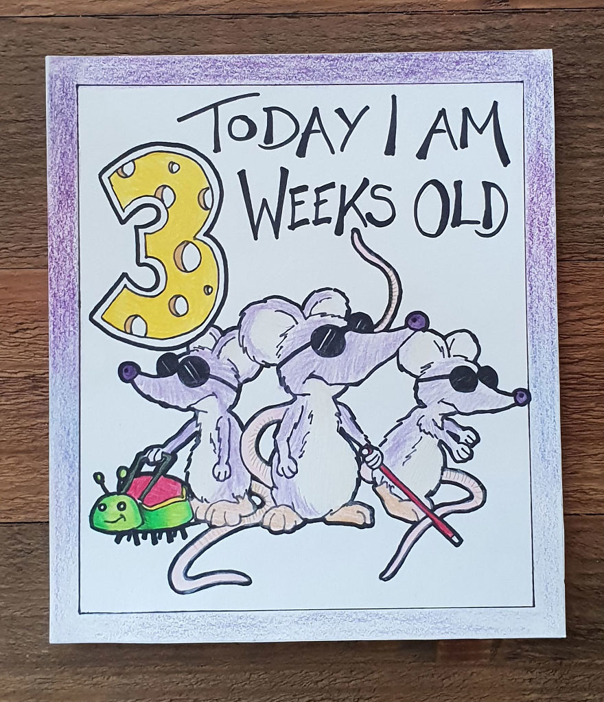 My Husband Created Charming Illustrations For Our Children’s Milestone Cards My Husband Created Charming Illustrations For Our Children’s Milestone Cards