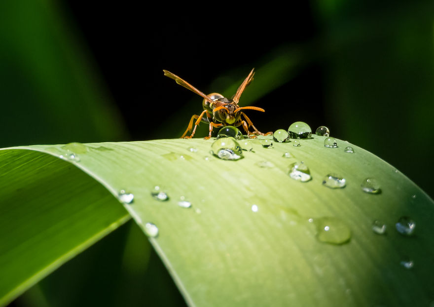 I Created A 'Photographer's Garden' In My Backyard Because My Life Was Too Busy For Travel