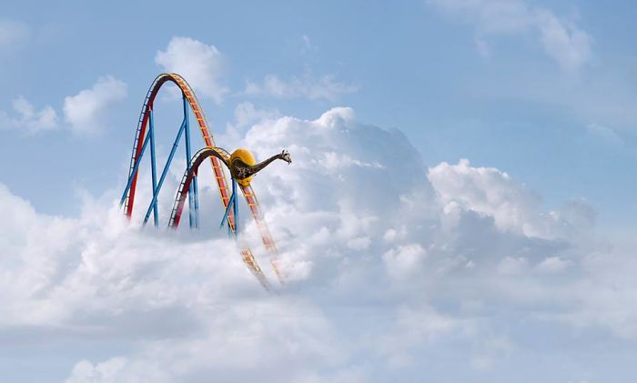 Photographer Shows The Funny Life Of Animals From Kenya