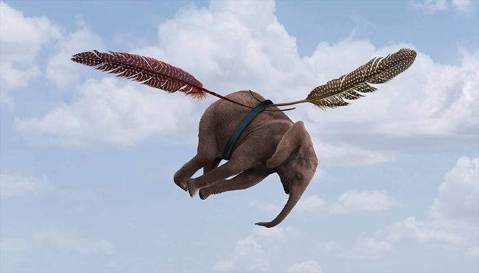 Photographer Shows The Funny Life Of Animals From Kenya