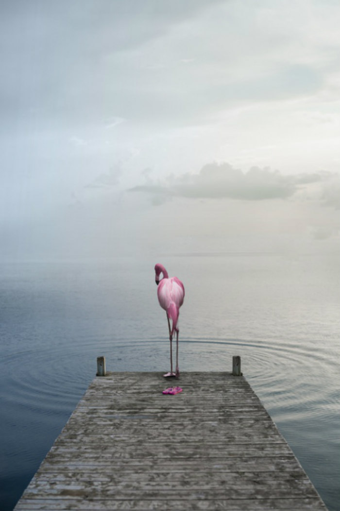 Photographer Shows The Funny Life Of Animals From Kenya