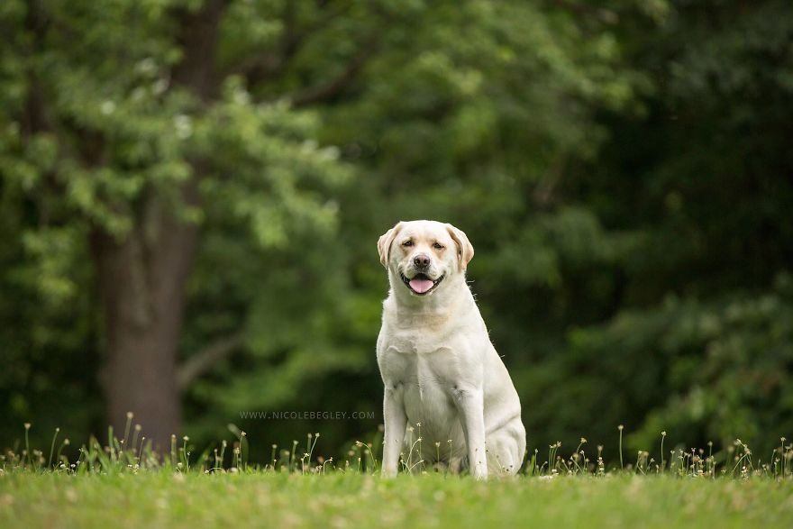 The Photoshop Adventures Of Huck