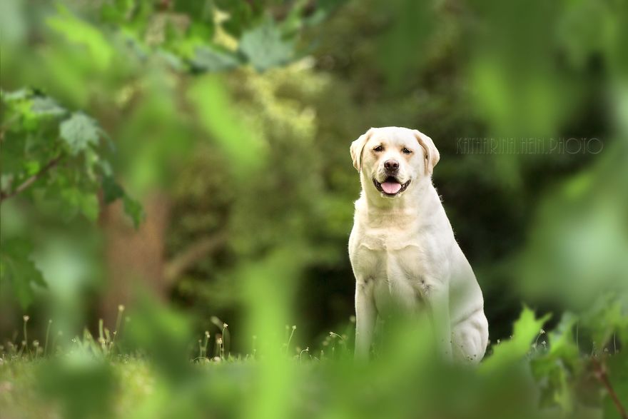 The Photoshop Adventures Of Huck