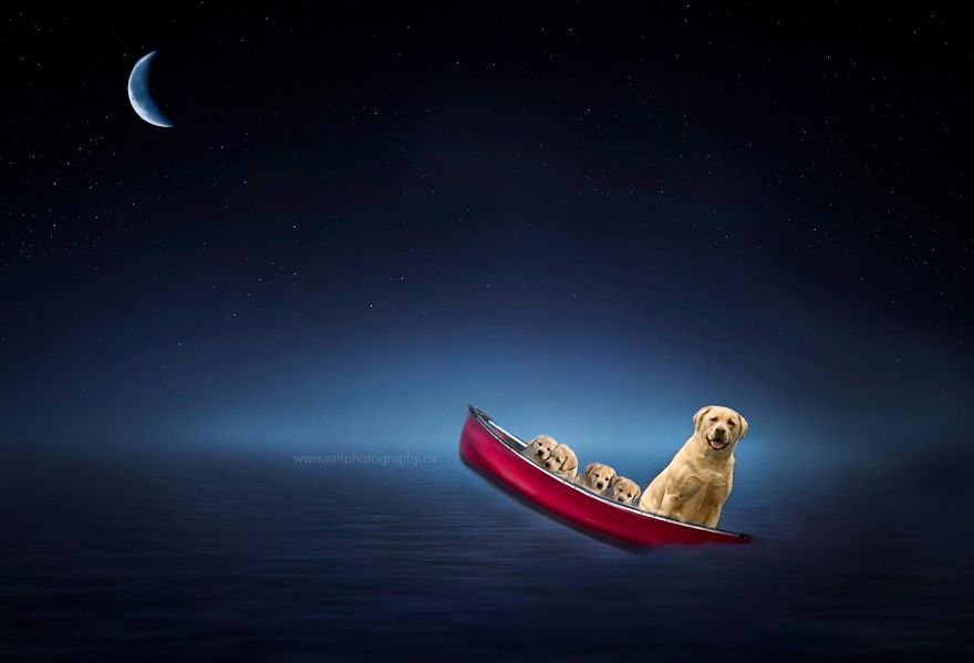 The Photoshop Adventures Of Huck