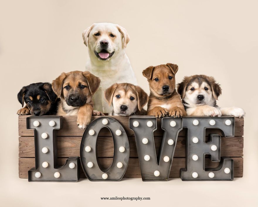 The Photoshop Adventures Of Huck