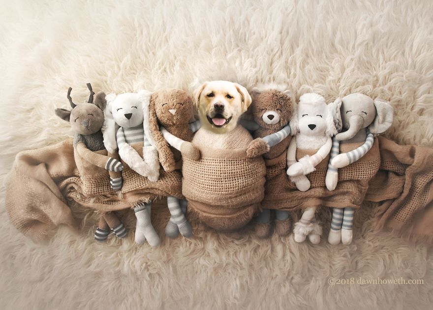 The Photoshop Adventures Of Huck