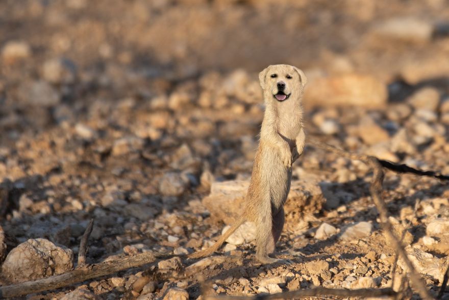 The Photoshop Adventures Of Huck