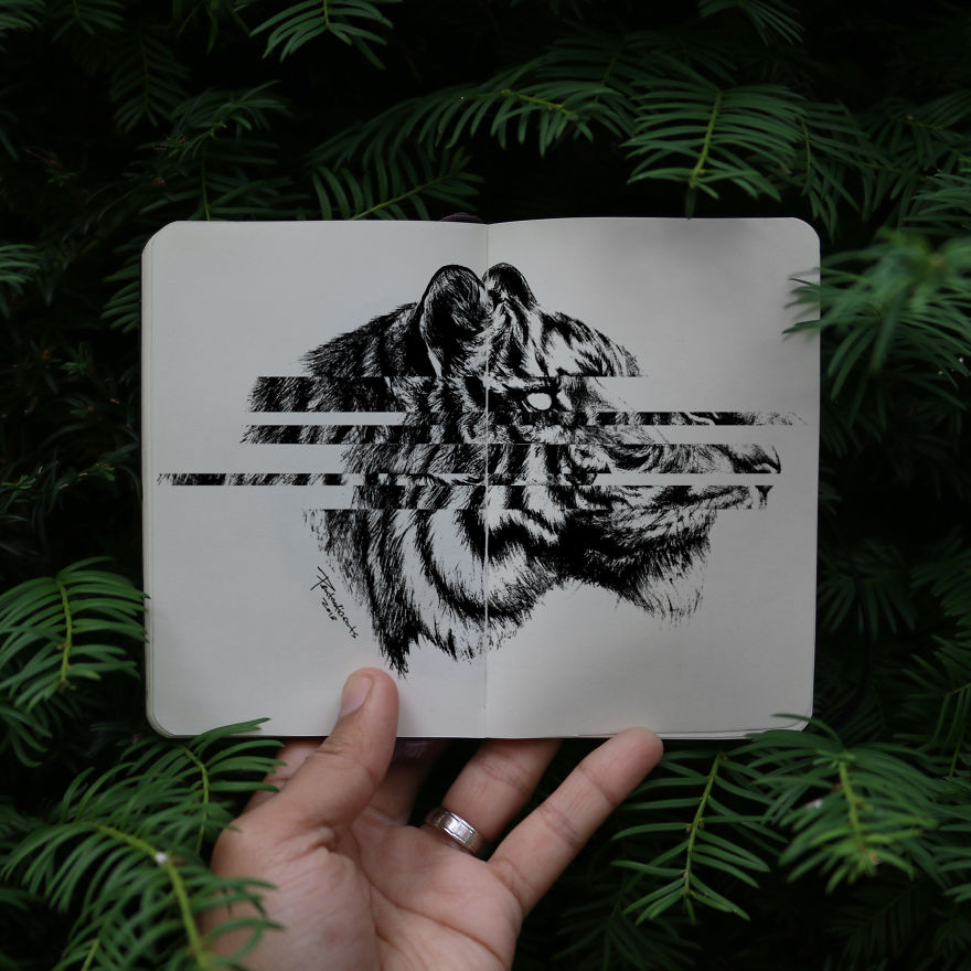 Hidden Drawings By Joseph Catimbang