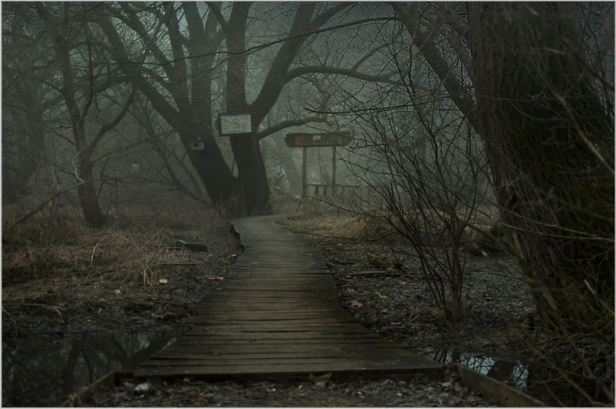 I Found A Chilling Path That Looked Like A Trail To Mordor (20 Pics)