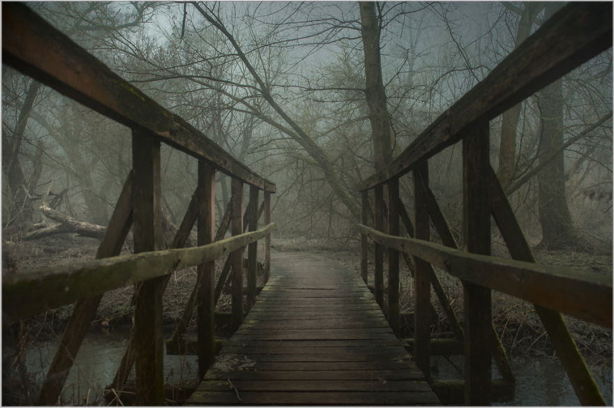 I Found A Chilling Path That Looked Like A Trail To Mordor (20 Pics)