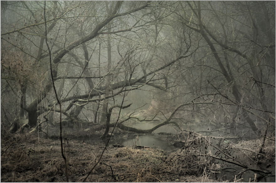 I Found A Chilling Path That Looked Like A Trail To Mordor (20 Pics)
