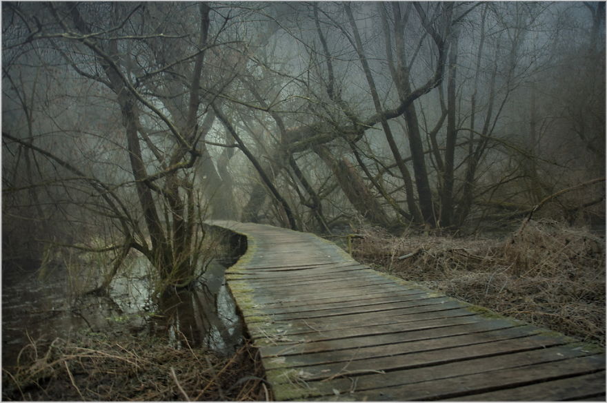 I Found A Chilling Path That Looked Like A Trail To Mordor (20 Pics)