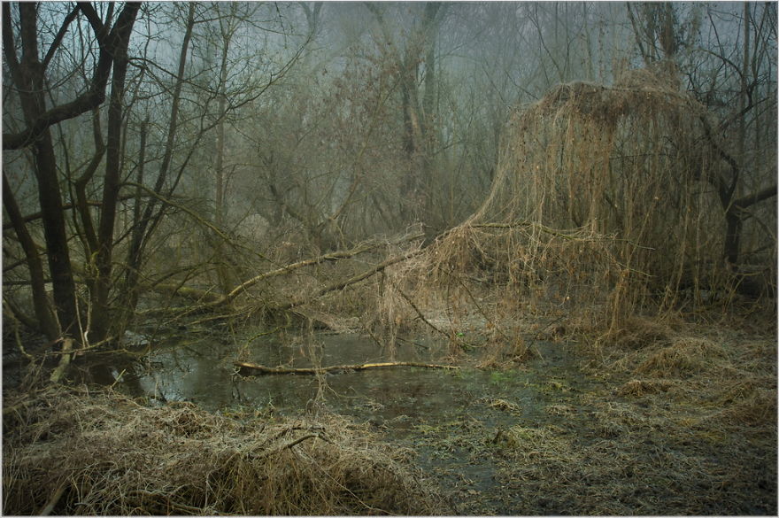 I Found A Chilling Path That Looked Like A Trail To Mordor (20 Pics)