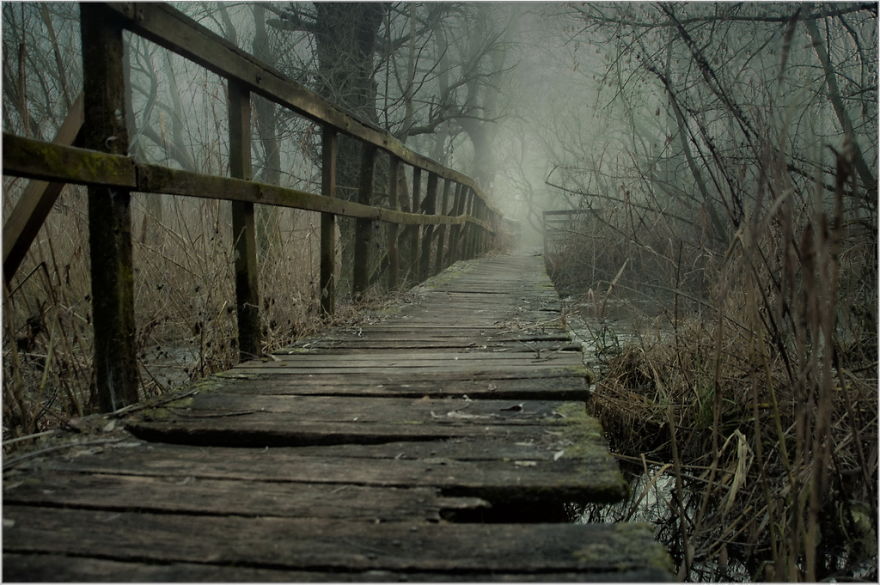 I Found A Chilling Path That Looked Like A Trail To Mordor (20 Pics)