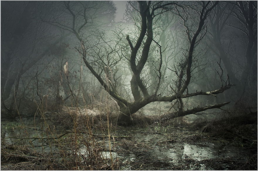 I Found A Chilling Path That Looked Like A Trail To Mordor (20 Pics)