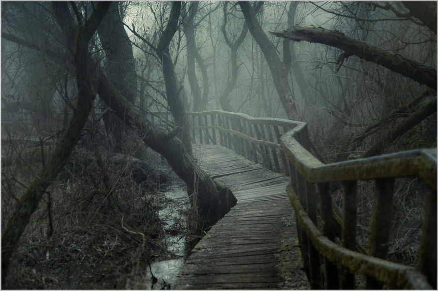 I Found A Chilling Path That Looked Like A Trail To Mordor (20 Pics)